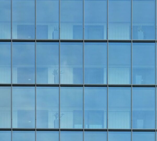 Frosted Toughened Glass